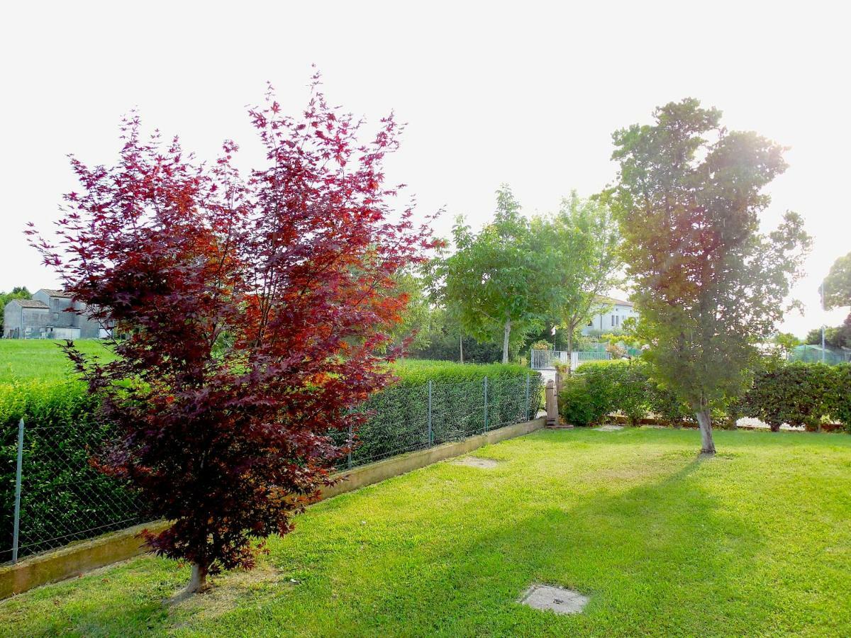 Villarosa Santa Lucia di Piave Екстериор снимка